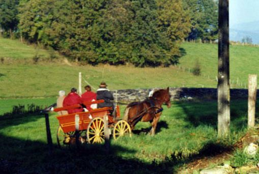 Location de calèche, balade, mariage